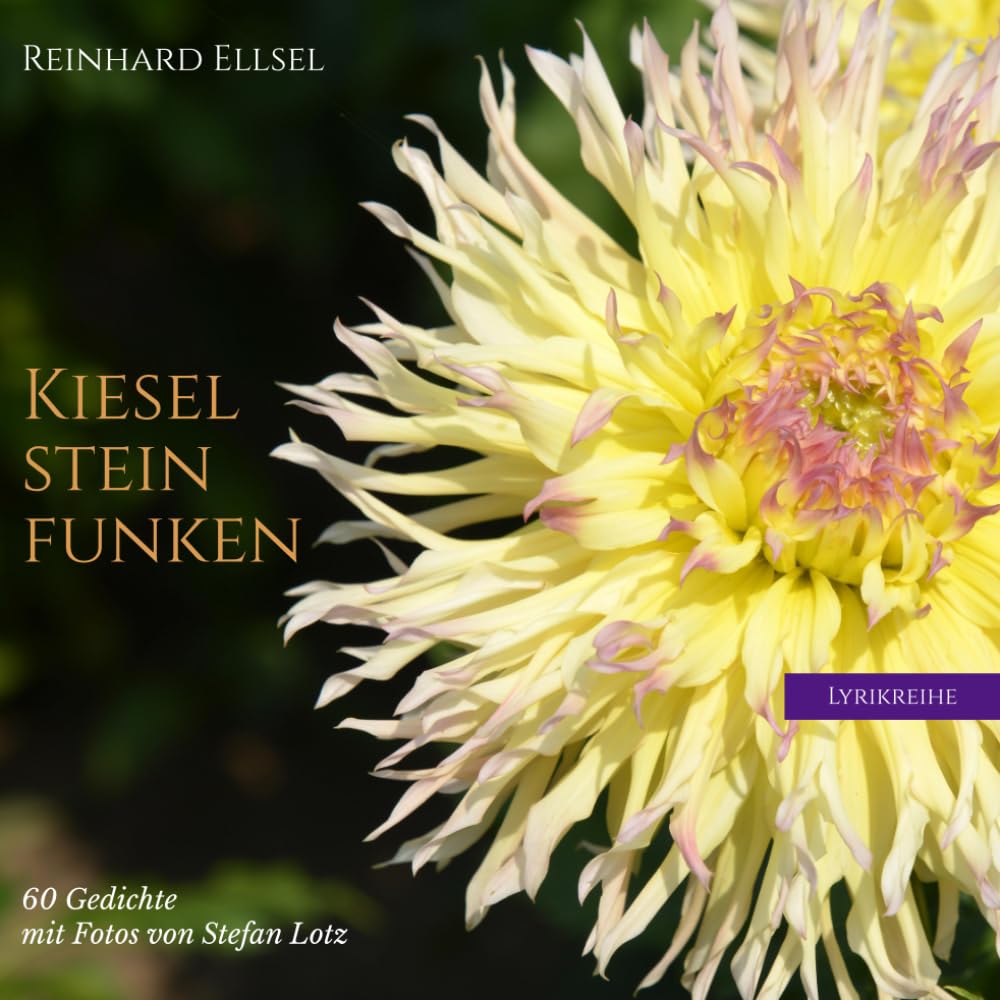Kieselsteinfunken: 60 Gedichte mit Fotos von Stefan Lotz (Lyrikreihe) Religion & Esotericism