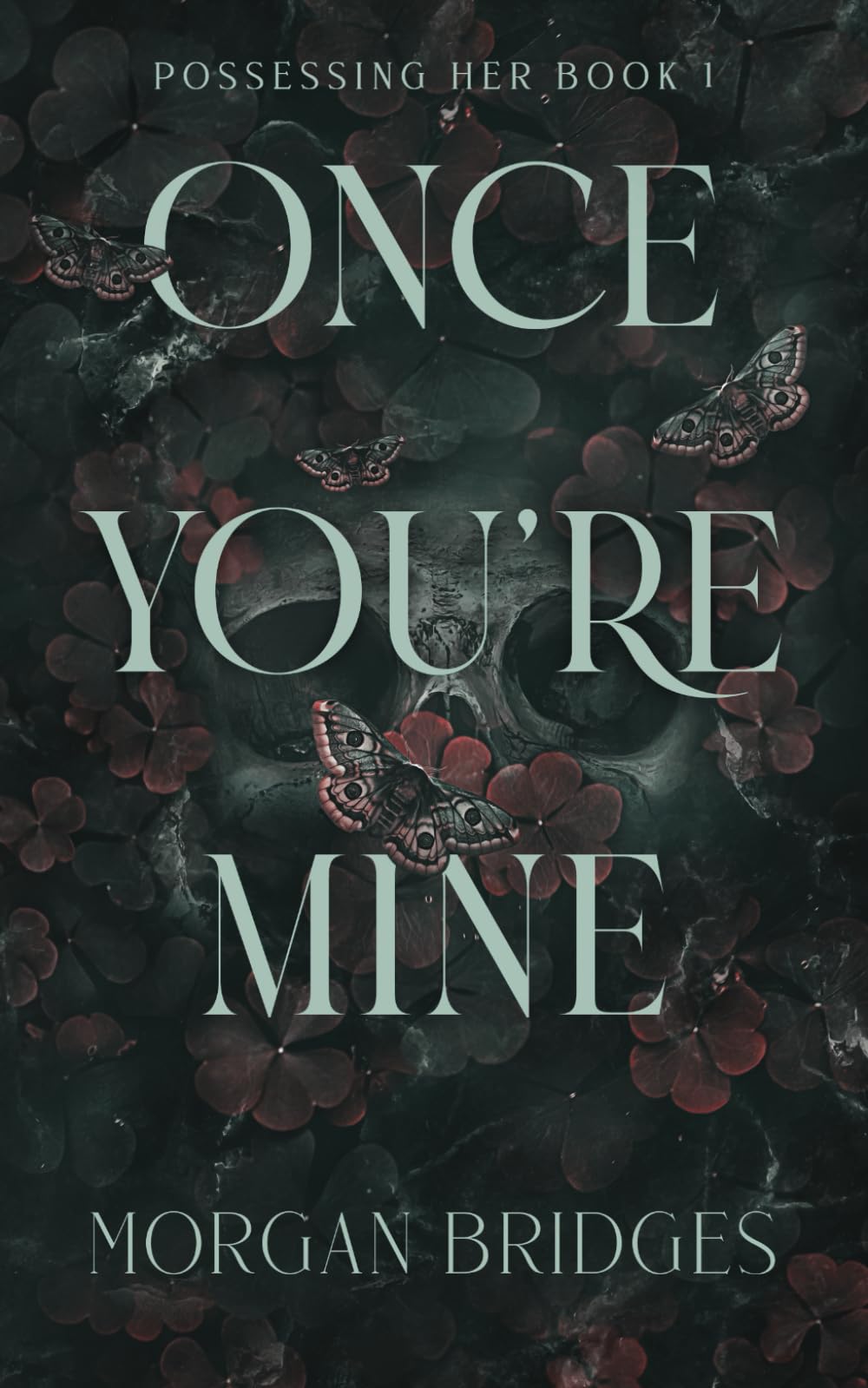 Once You're Mine: A Dark Stalker Romance (Possessing Her, Band 1) New Adult