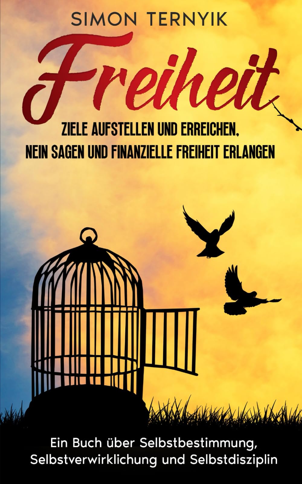 Freiheit: Ziele aufstellen und erreichen, Nein sagen und finanzielle Freiheit erlangen. Ein Buch über Selbstbestimmung, Selbstverwirklichung und Selbstdisziplin. Befreiung aus der Selbstversklavung Lifestyle