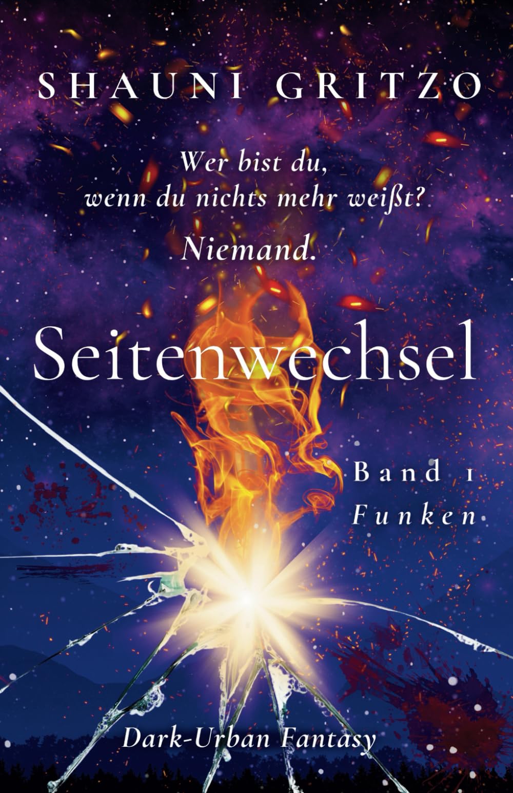 Seitenwechsel: Band 1 (Die Seitenwechsel Reihe, Band 1) Fantasy & Sci-Fi