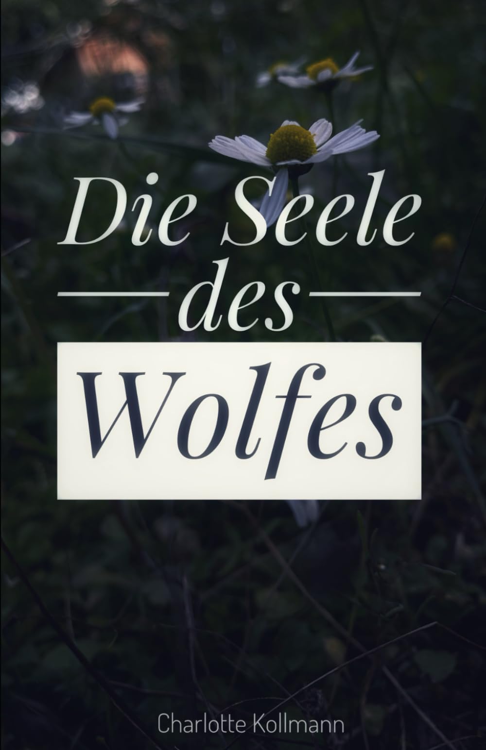 Die Seele des Wolfes (Triologie-Wolfsseele, Band 1) Fantasy & Sci-Fi