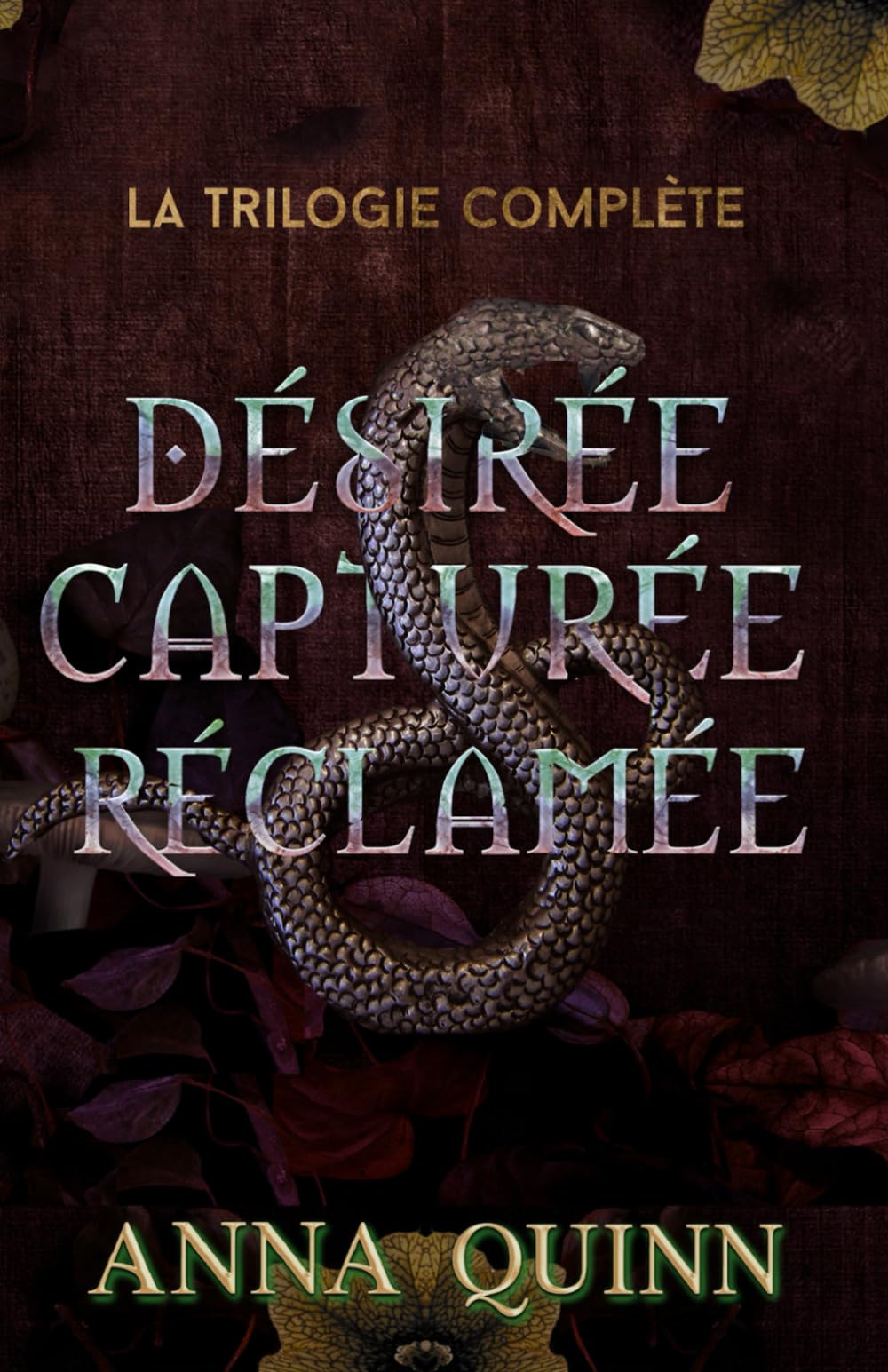 Désirée, capturée, réclamée: la trilogie complète: dark romance de Vikings Historical Fiction