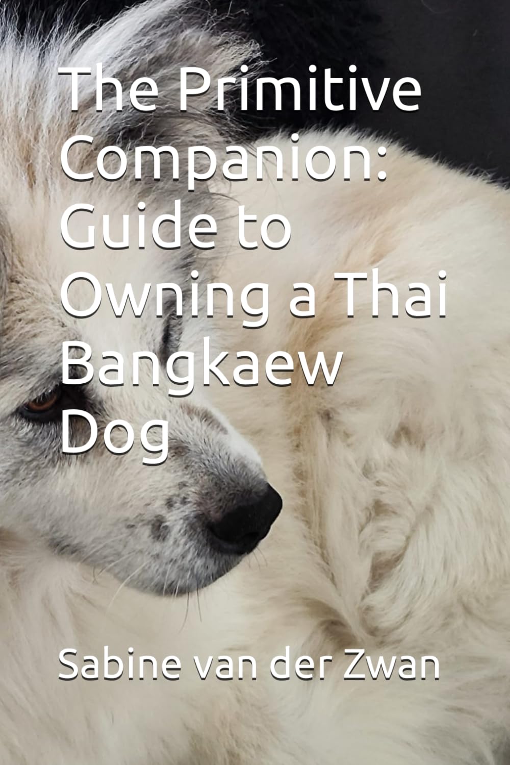 The Primitive Companion: Guide to Owning a Thai Bangkaew Dog Pets