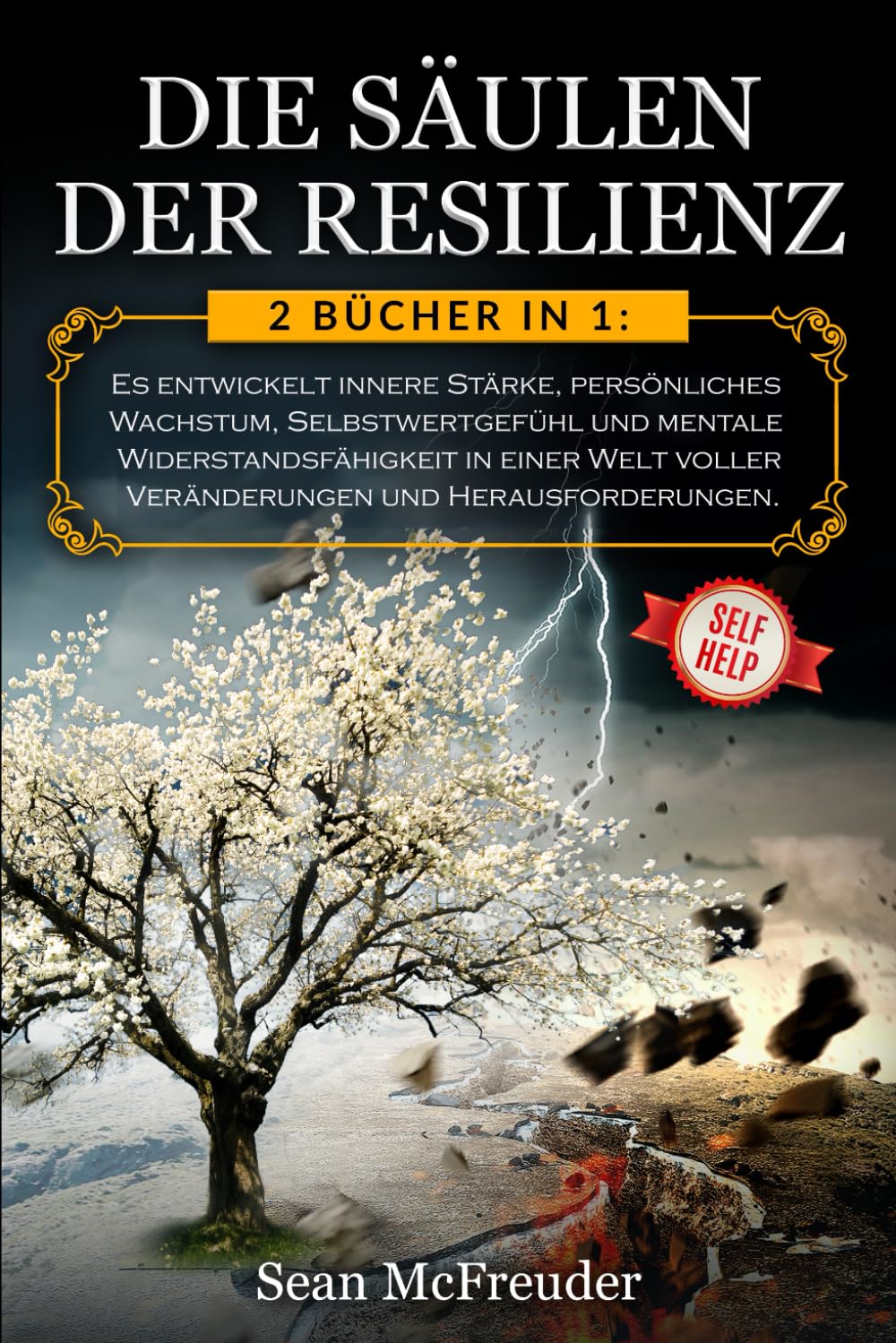 DIE SÄULEN DER RESILIENZ: 2 Bücher in 1: Es entwickelt innere Stärke, persönliches Wachstum, Selbstwertgefühl und mentale Widerstandsfähigkeit in einer Welt voller Veränderungen und Herausforderungen. book