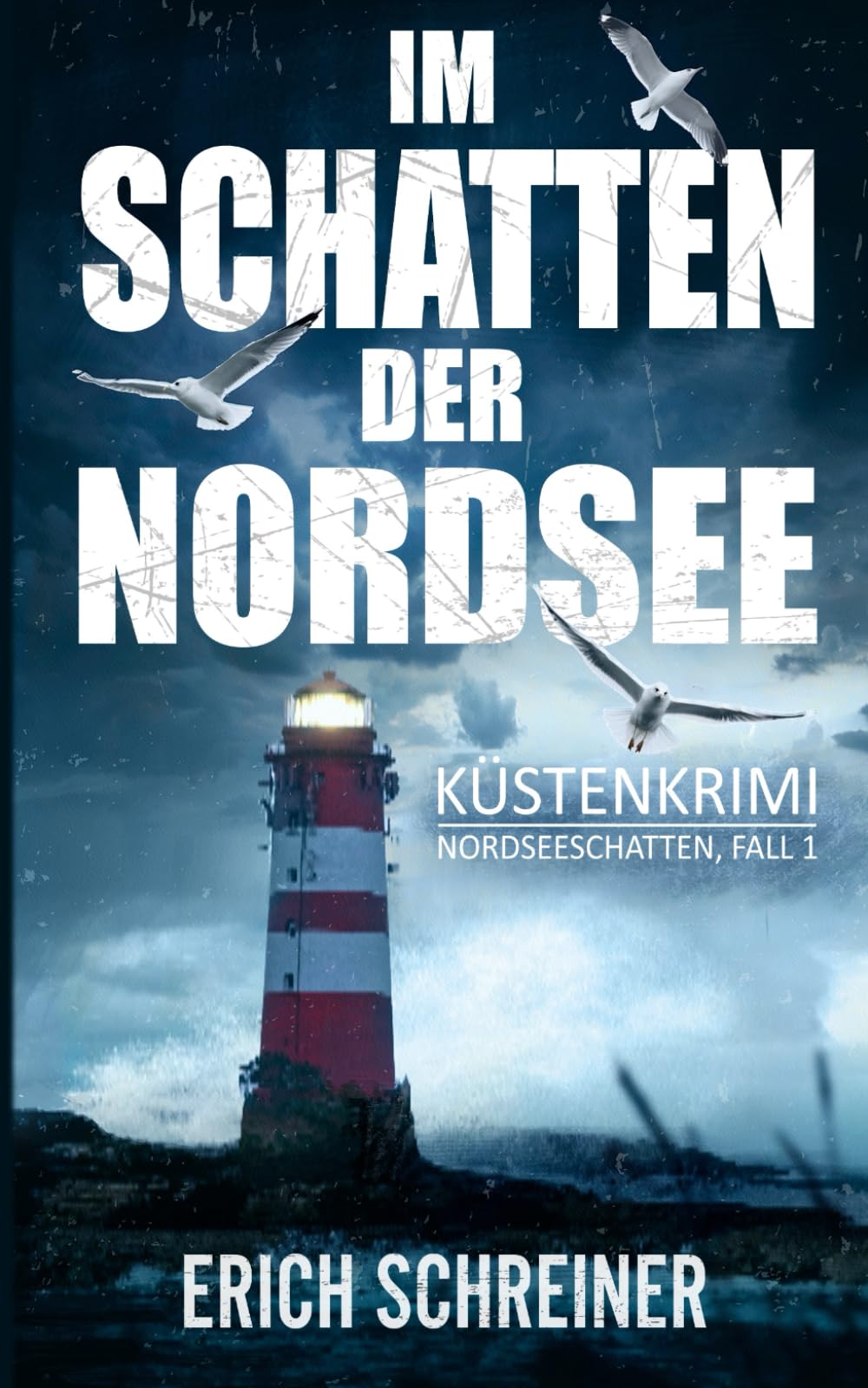 Im Schatten der Nordsee: Küstenkrimi (Hansen & Stahl ermitteln, Band 1) (Reihe Nordseeschatten, Band 1) Detective & CSI