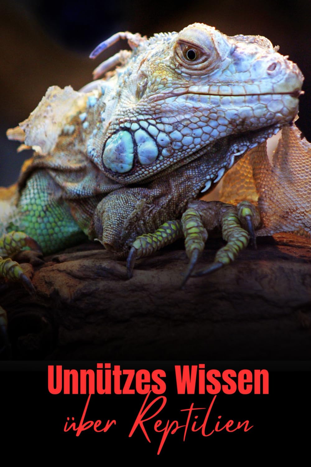 Unnützes Wissen über Reptilien: Kuriose Fakten und Wissenswertes über Echsen, Schildkröten, Schlangen und viele mehr Pets