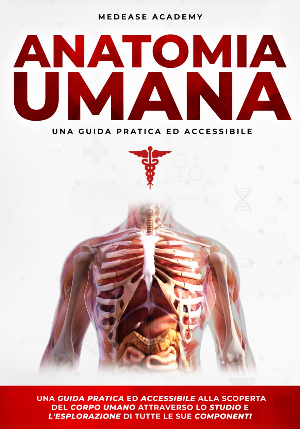 Anatomia Umana: Una Guida Pratica e Accessibile alla Scoperta del Corpo Umano Attraverso lo Studio e l’Esplorazione di Tutte le Sue Componenti (MedEase Academy Collection) Medicine