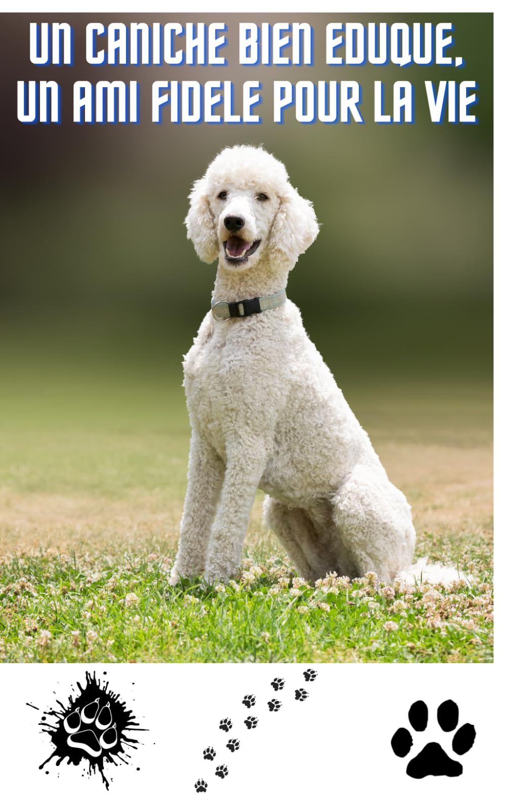 Un Caniche Bien Éduqué, un Ami Fidèle pour la Vie: Construisez une Amitié Solide et Durable book