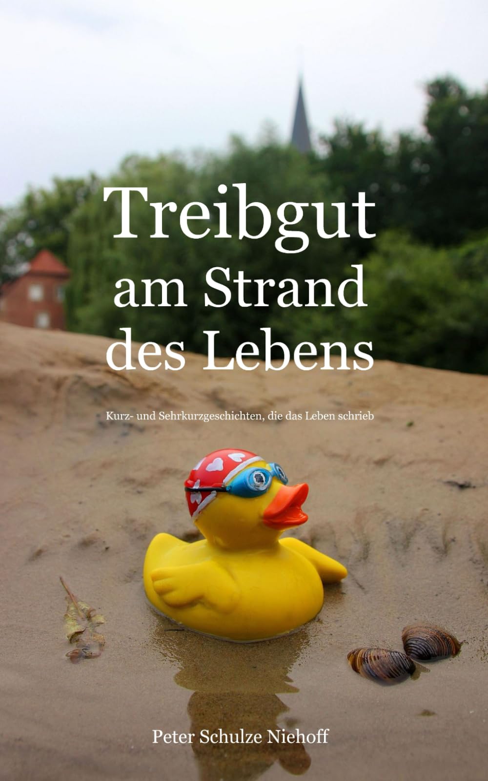 Treibgut am Strand des Lebens: Kurz- und Sehrkurzgeschichten, die das Leben schrieb book