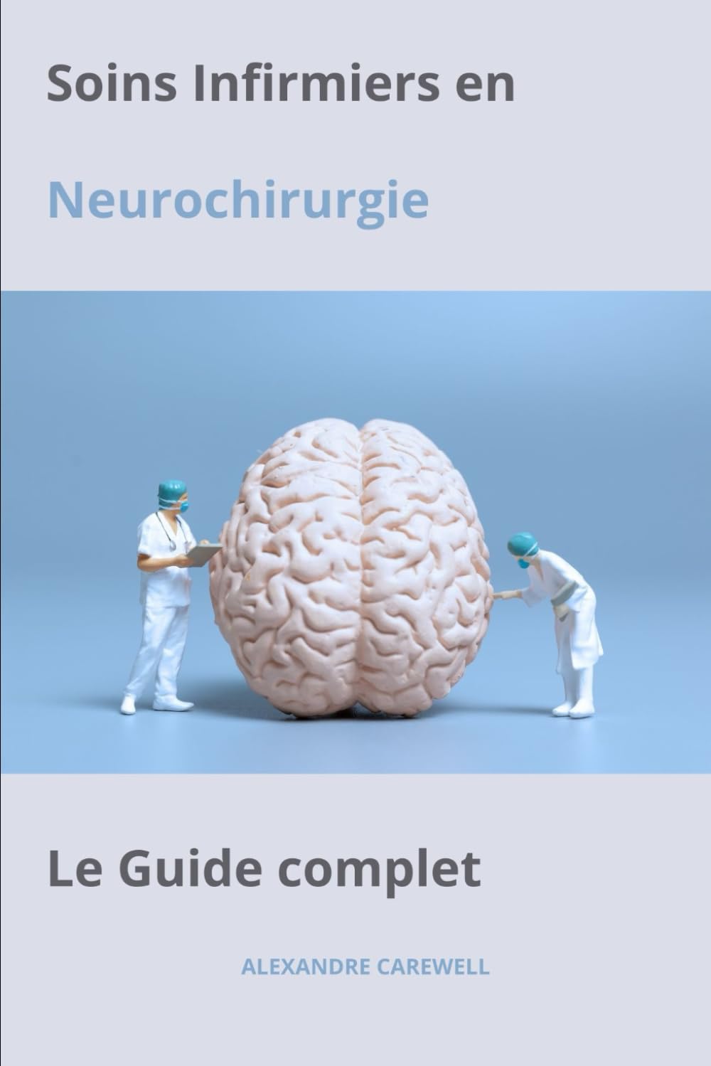 Soins Infirmiers en Neurochirurgie Le Guide complet book