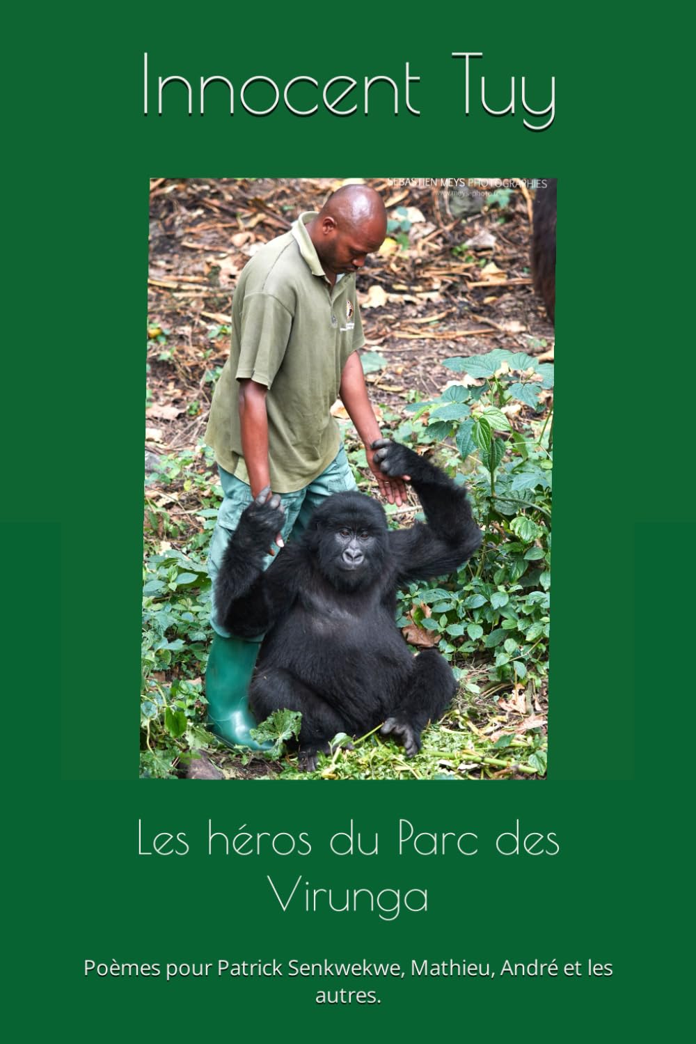 Les héros du Parc des Virunga: Poèmes pour Patrick Senkwekwe, Mathieu, André et les autres. book