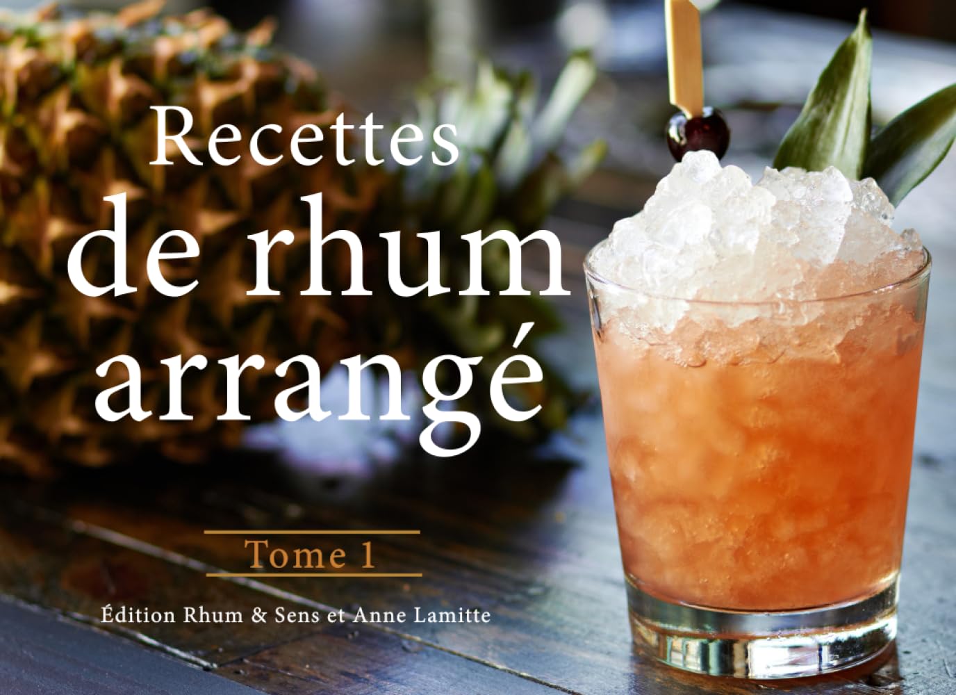 Recettes de rhum arrangé: Tome 1 book