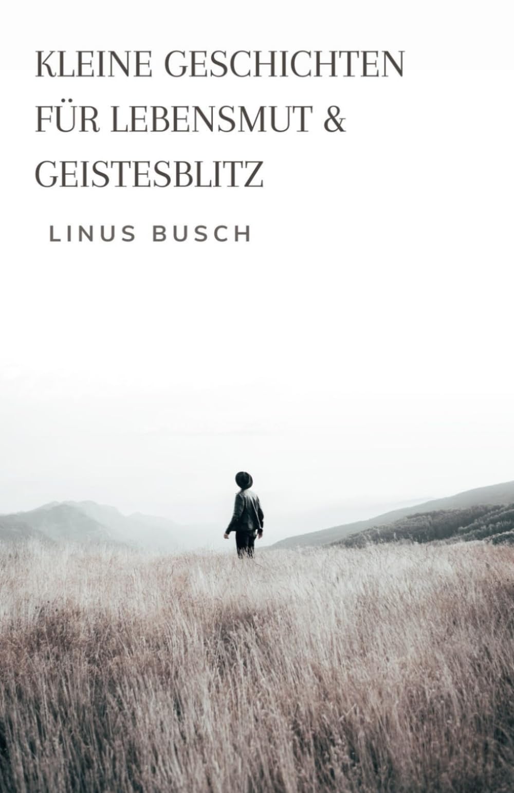 Kleine Geschichten für Lebensmut & Geistesblitz book