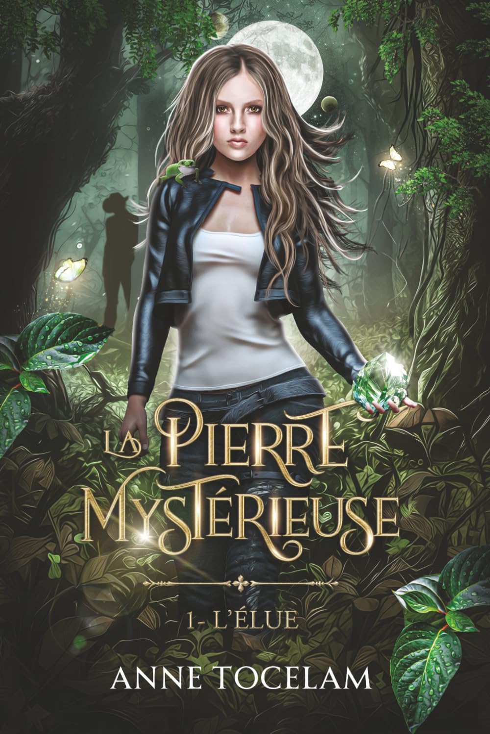 La Pierre mystérieuse: Tome 1: L'élue book