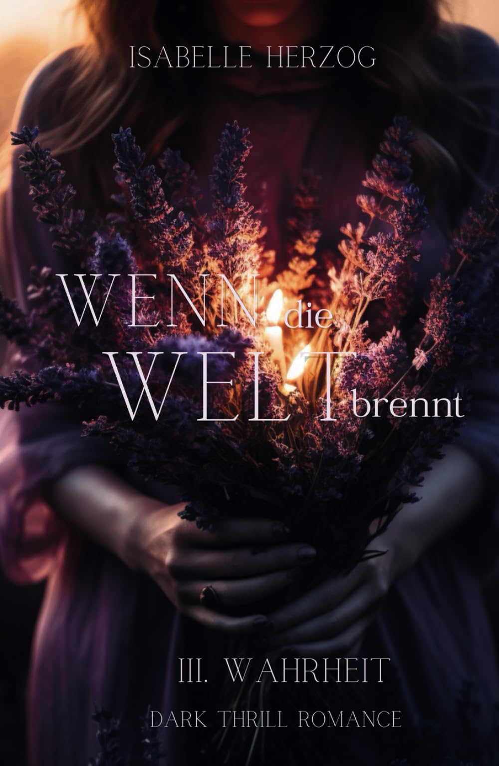 Wenn die Welt brennt (Wenn-Reihe, Band 3) Detective & CSI