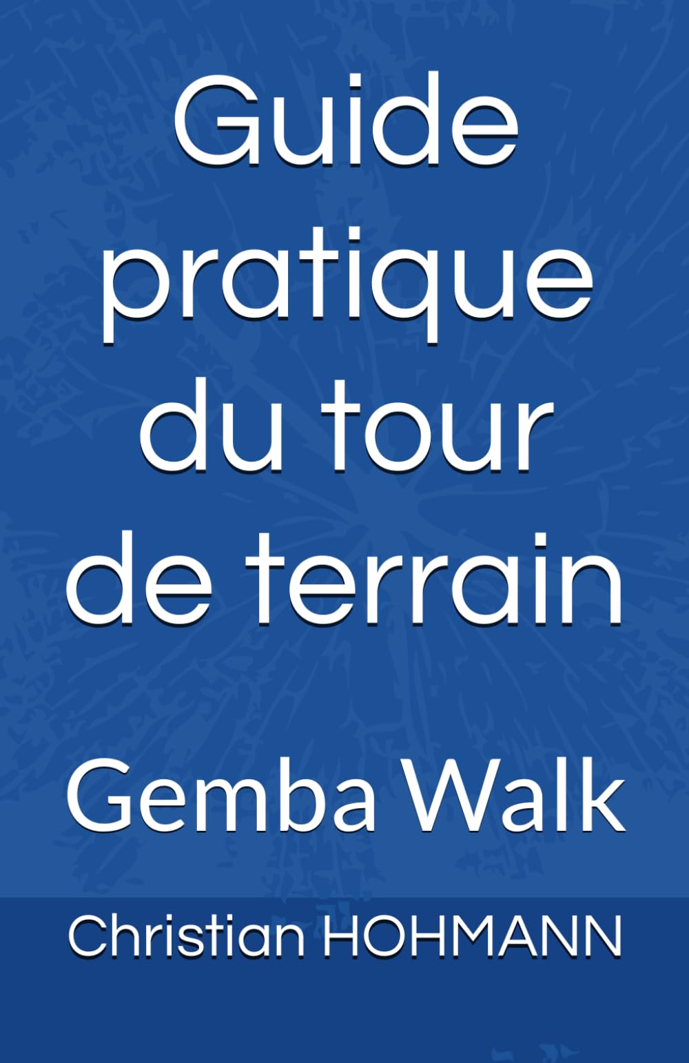 Guide pratique du tour de terrain: Gemba Walk Books