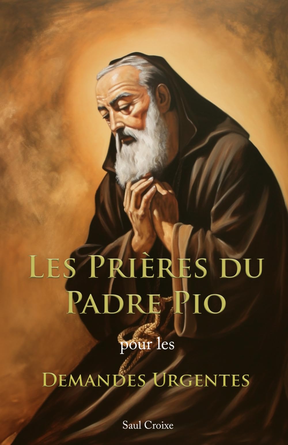 Les Prières du Padre Pio pour les Demandes Urgentes book