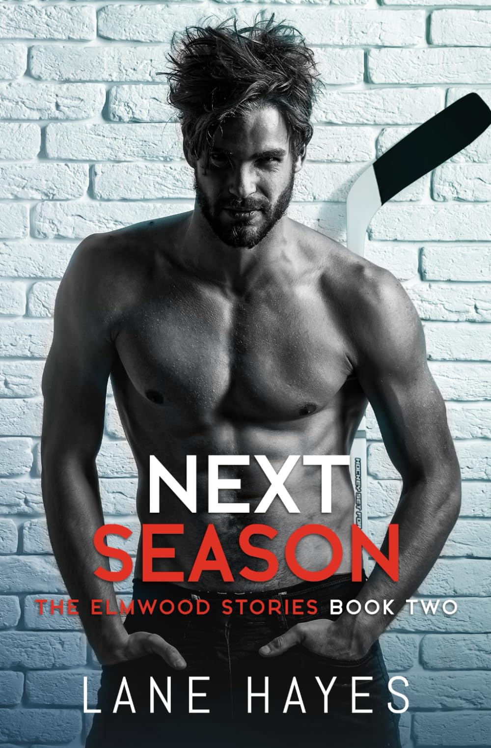 Next Season: MM Small Town/Hockey Romance book