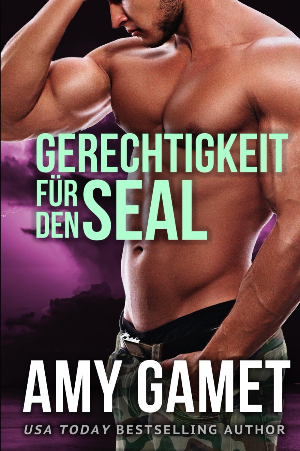 Gerechtigkeit für den SEAL book