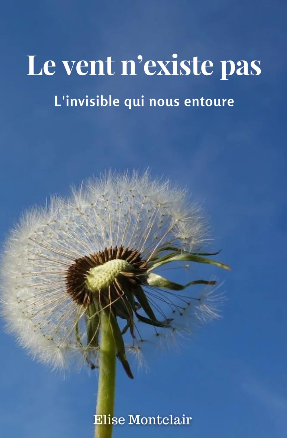 Le vent n'existe pas: L'invisible qui nous entoure book