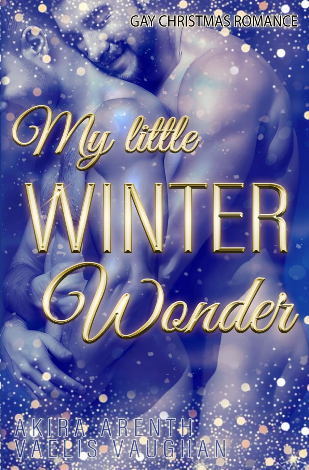 My little Winterwonder: Gay Christmas Romance LGBTQ+