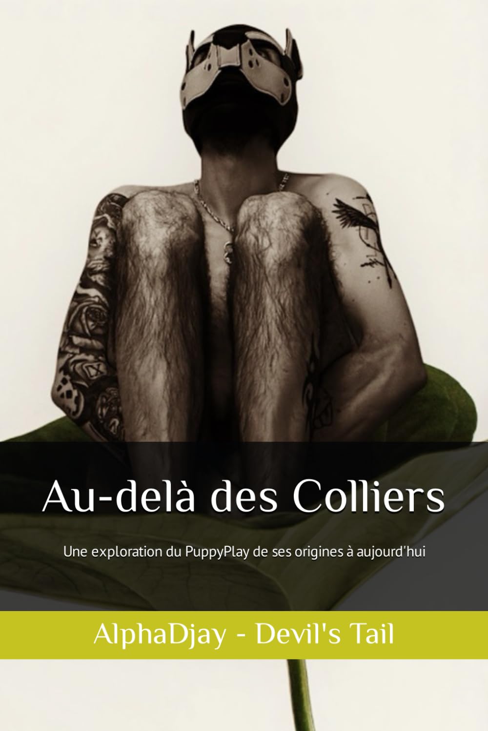 Au-delà des colliers: Une exploration du Puppyplay de ses Origines à Aujourd'hui book