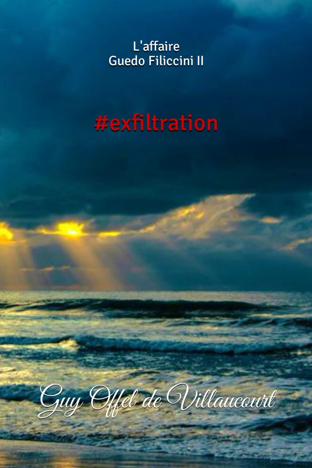 L'affaire Guedo Filiccini 2: #exfiltration book