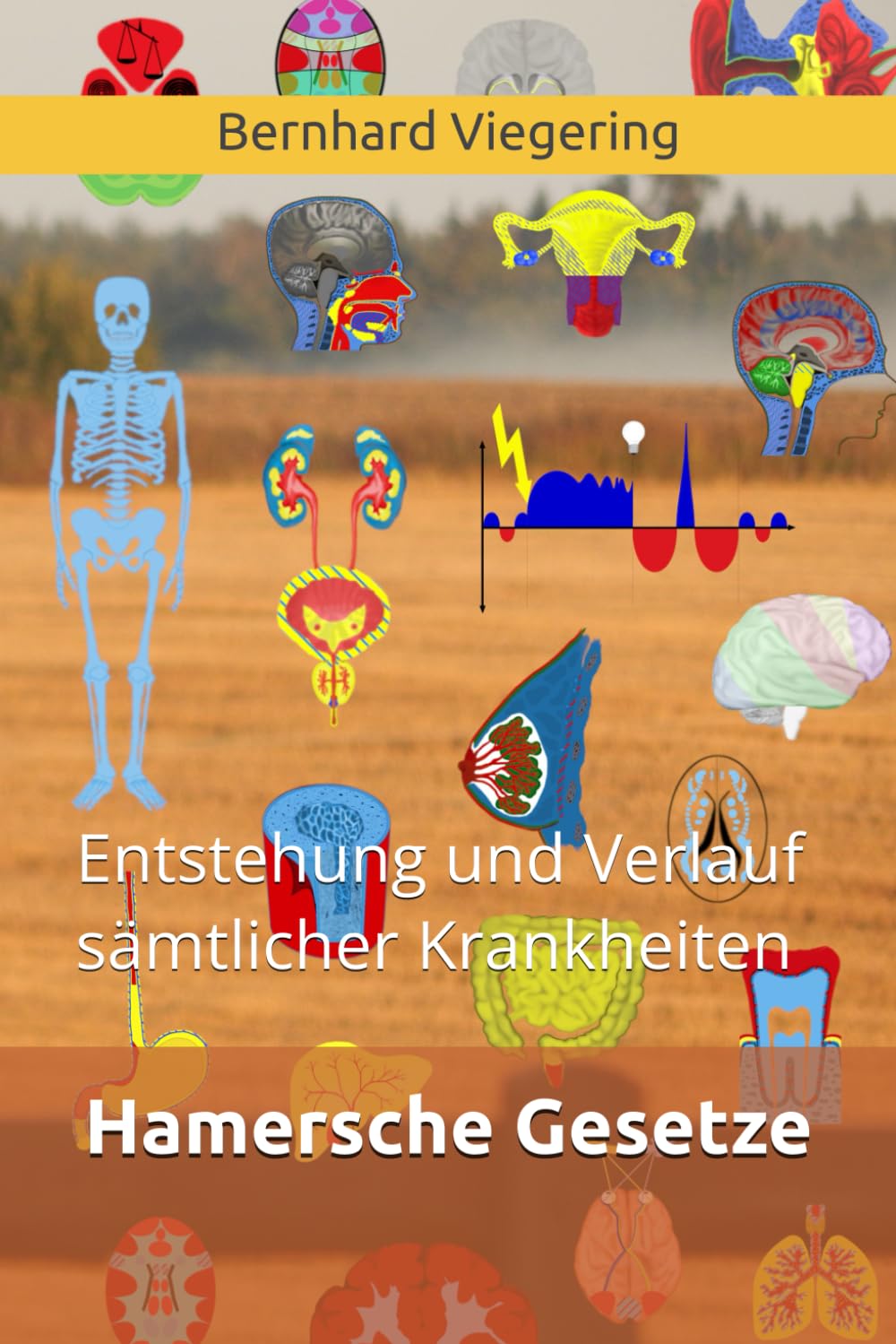 Hamersche Gesetze: Entstehung und Verlauf sämtlicher Krankheiten Natural Sciences