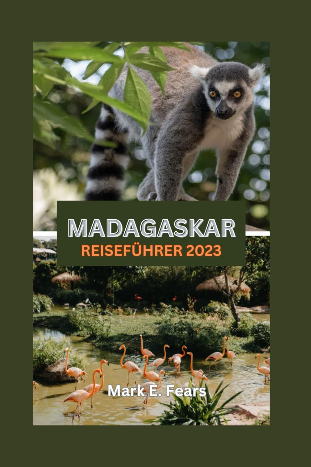 MADAGASKAR REISEFÜHRER 2023: Madagaskar enthüllt: Ihr ultimativer Leitfaden zur Entdeckung der verzauberten Insel: Entdecken Sie verborgene Schätze, Naturwunder, Abenteuer und den Regenwald. Leisure, Home & Garden