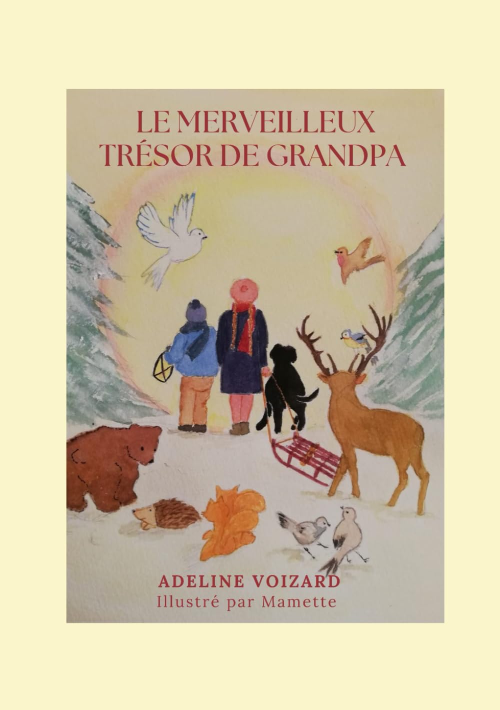 Le merveilleux trésor de GrandPa book