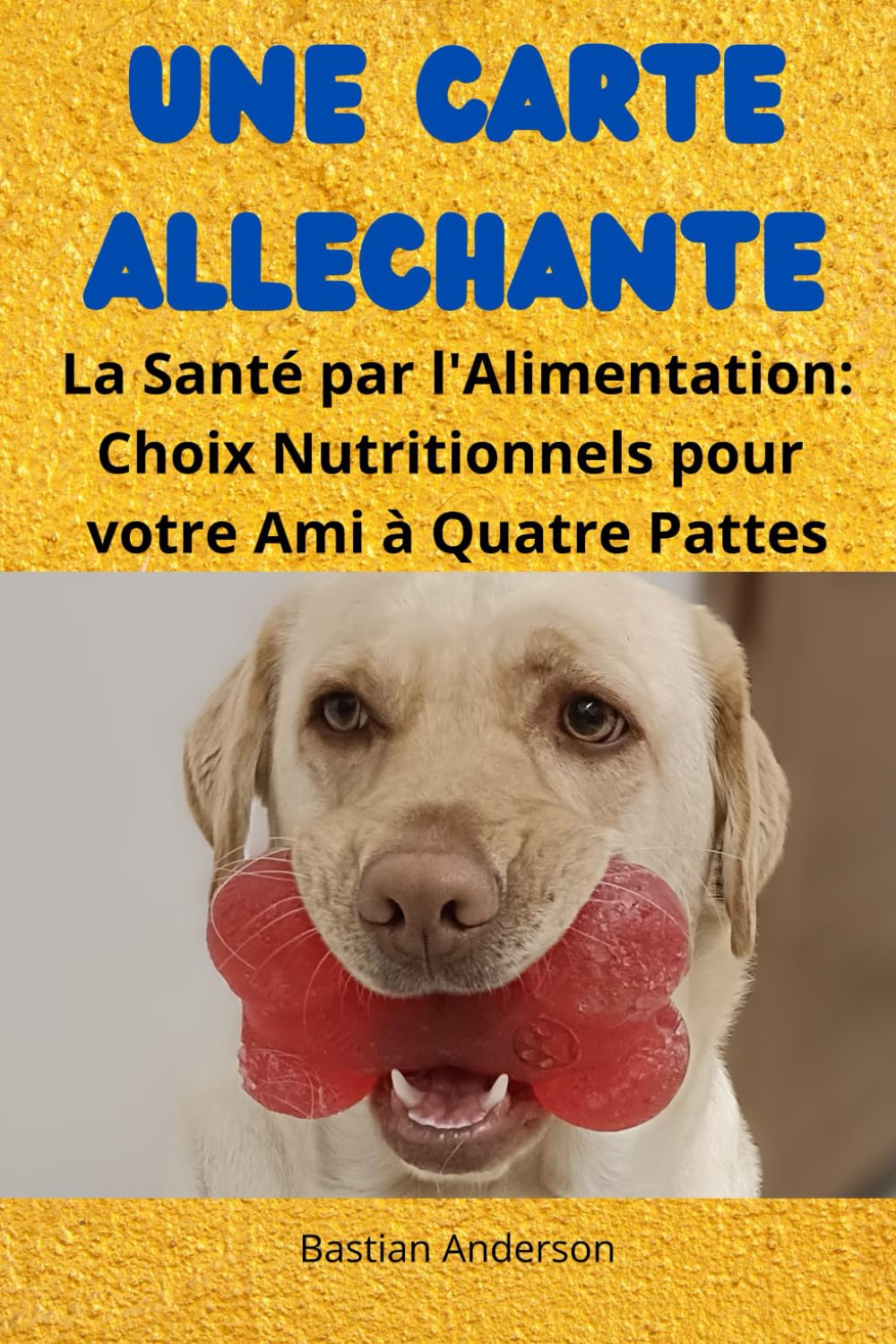 Une Carte Alléchante: La Santé par l'Alimentation: Choix Nutritionnels pour votre Ami à Quatre Pattes book