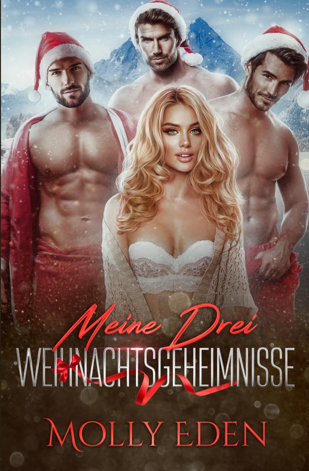 Meine drei Weihnachtsgeheimnisse book