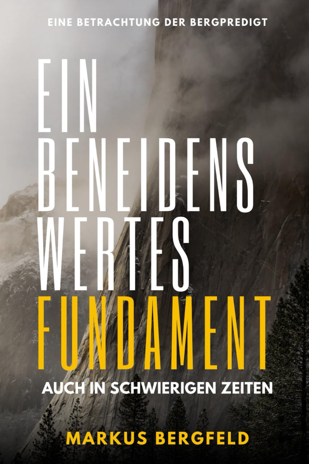 Ein beneidenswertes Fundament: auch in schwierigen Zeiten book
