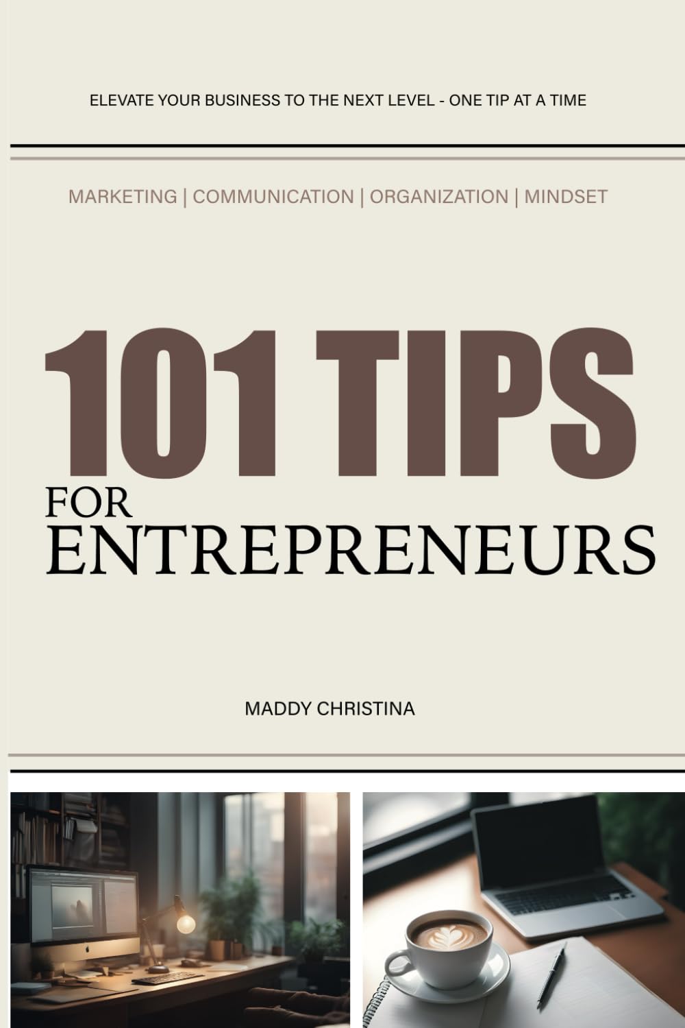 101 TIPS FOR ENTREPRENEURS: MARKETING - COMMUNICATION - ORGANIZATION - MINDSET book