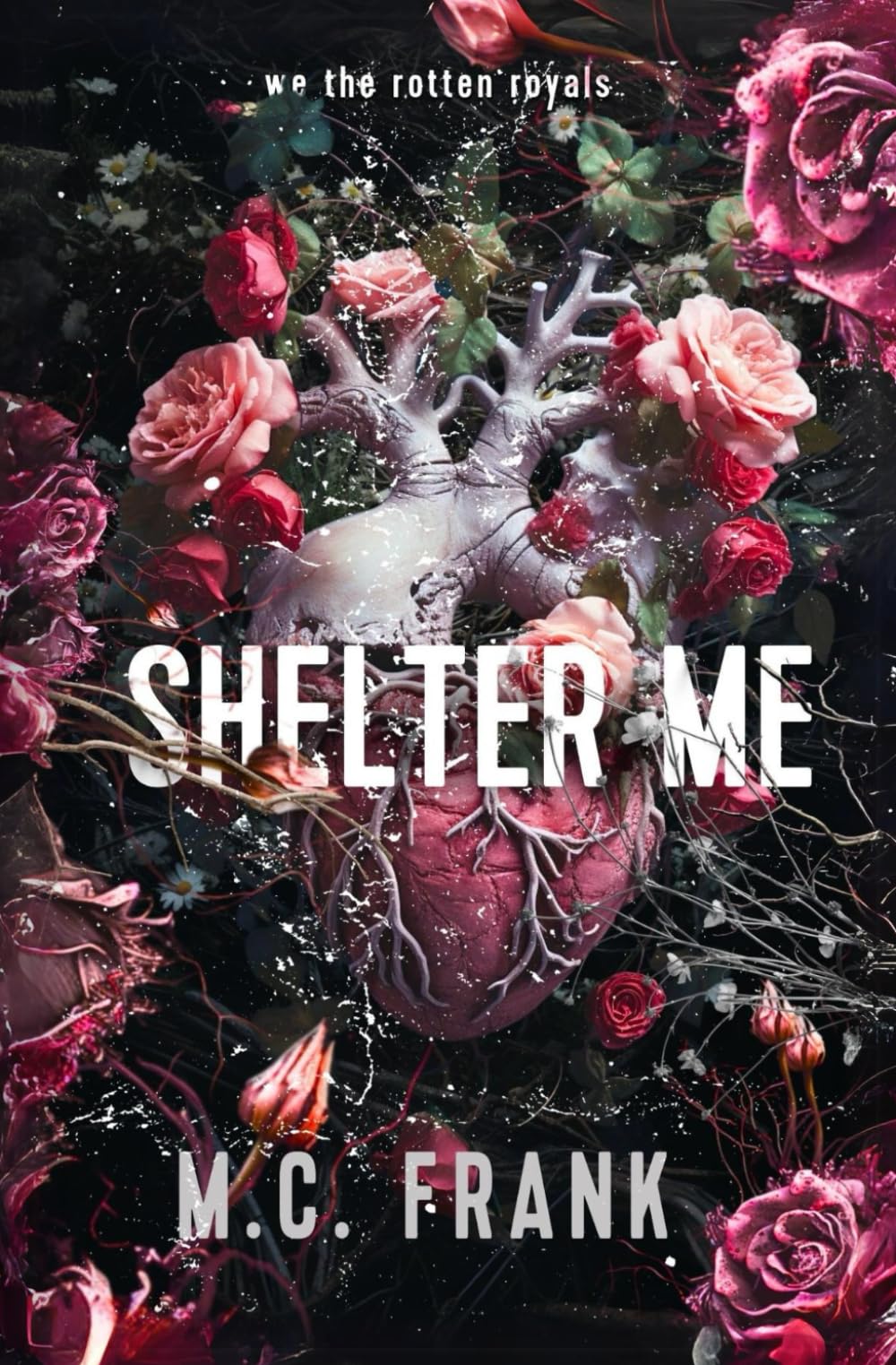 Shelter Me: A Royal Bodyguard Romance Standalone (Lose Me, Band 3) New Adult