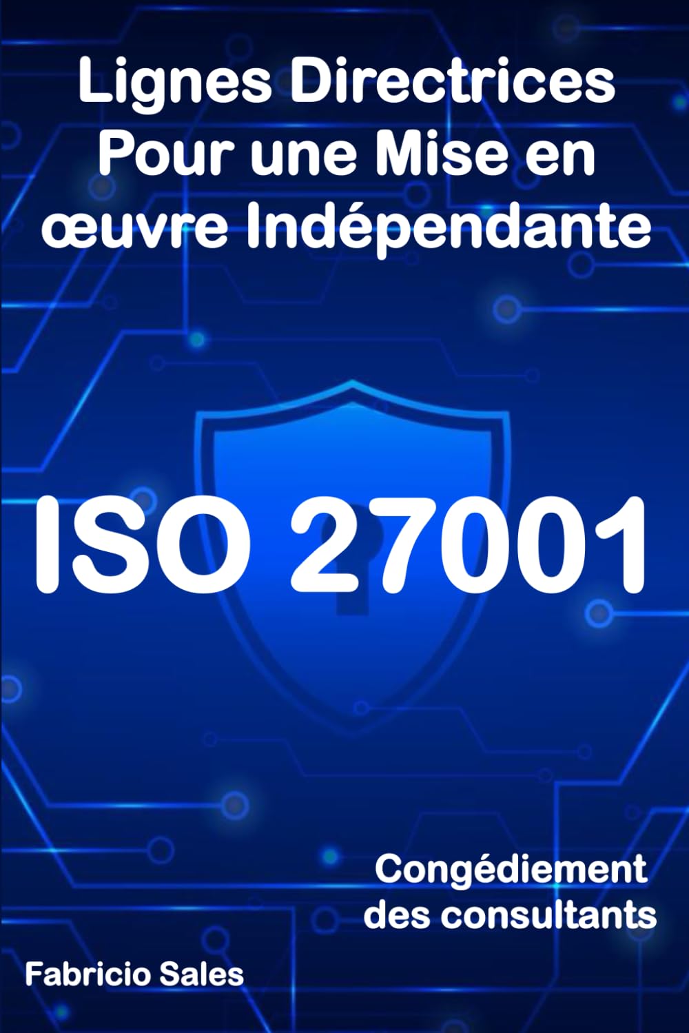 ISO 27001: Lignes directrices pour une mise en œuvre indépendante: Congédiement des consultants book