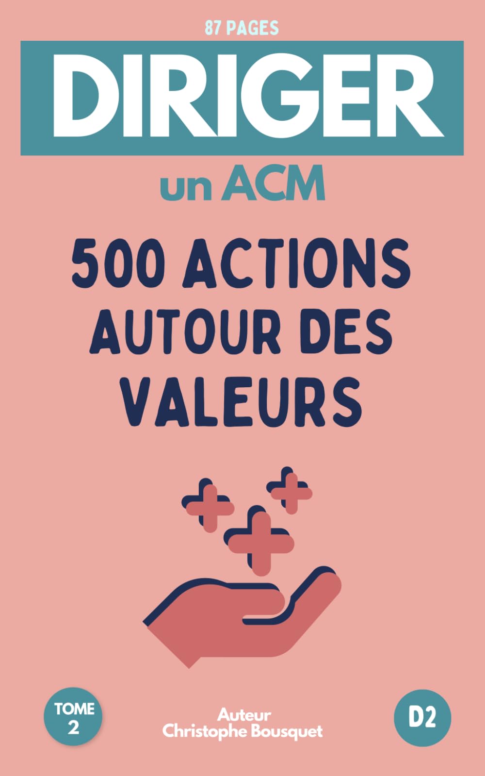 Diriger un ACM : 500 idées d'actions autour des valeurs - Tome 2: Guide conçu pour les directrices et directeurs d'accueils collectifs de mineurs Books