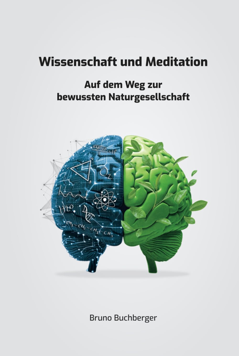 Wissenschaft und Meditation: Auf dem Weg zur bewussten Naturgesellschaft Natural Sciences
