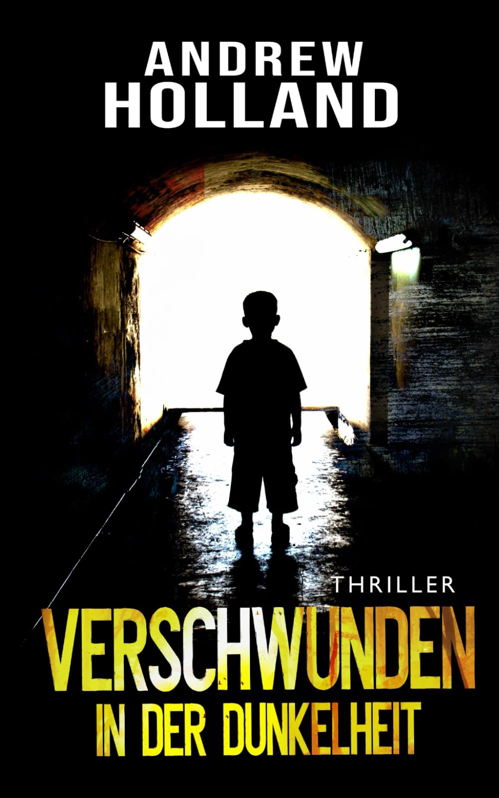 Verschwunden in der Dunkelheit: Thriller book