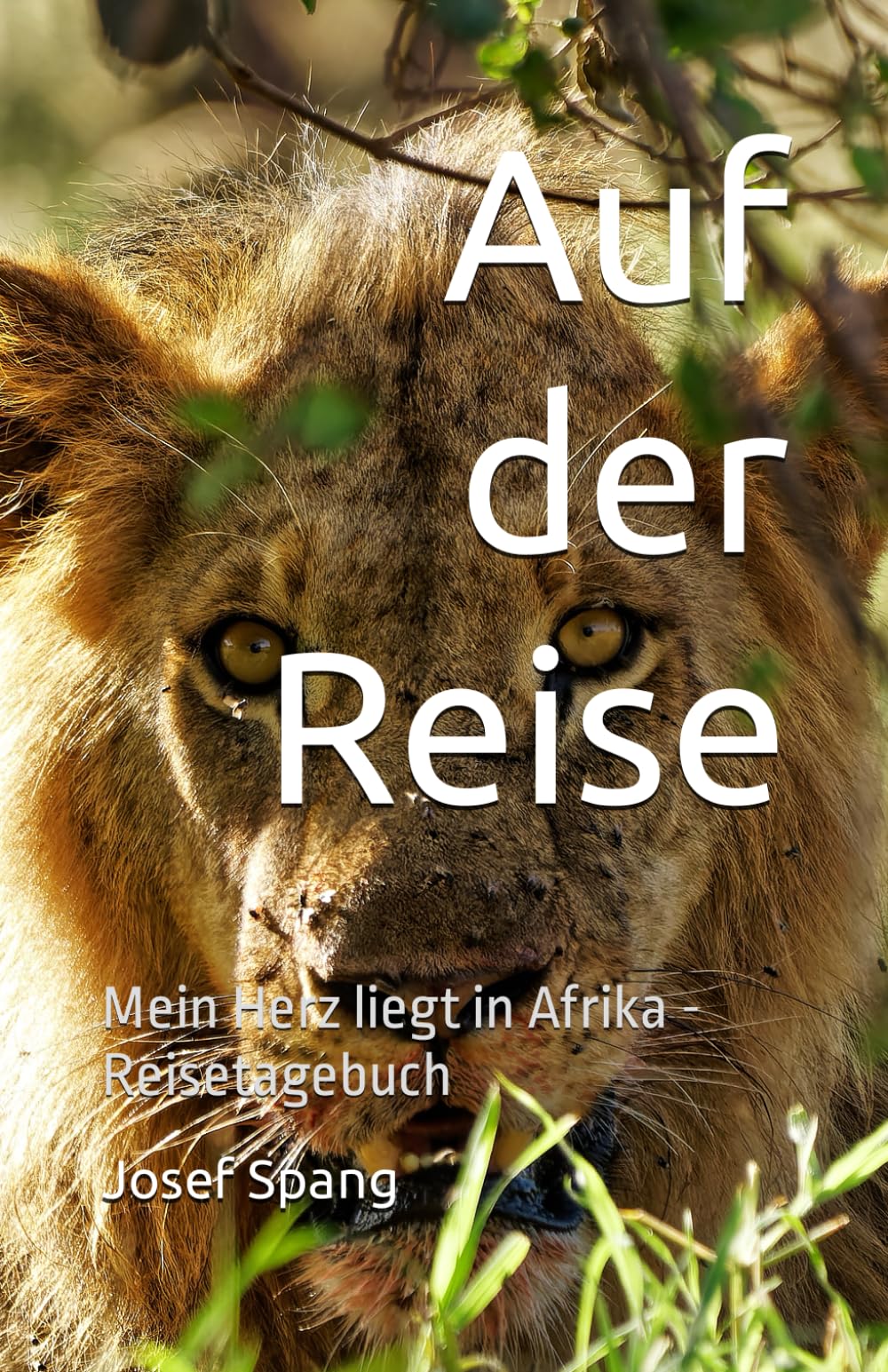 Auf der Reise: Mein Herz liegt in Afrika - Reisetagebuch Travelogues