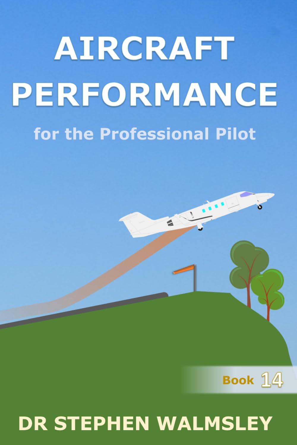 Aircraft Performance for the Professional Pilot (Aviation Books Professional Pilot Series) Business & Technology