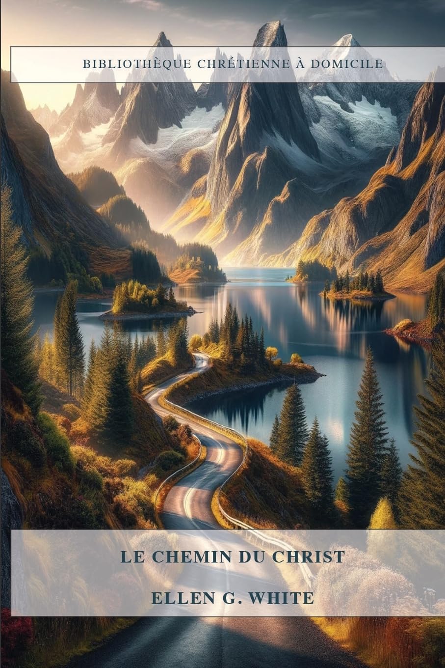 Le Chemin Du Christ: 13 étapes pour atteindre Jésus, éducation chrétienne, Le Ministère de la Guérison book