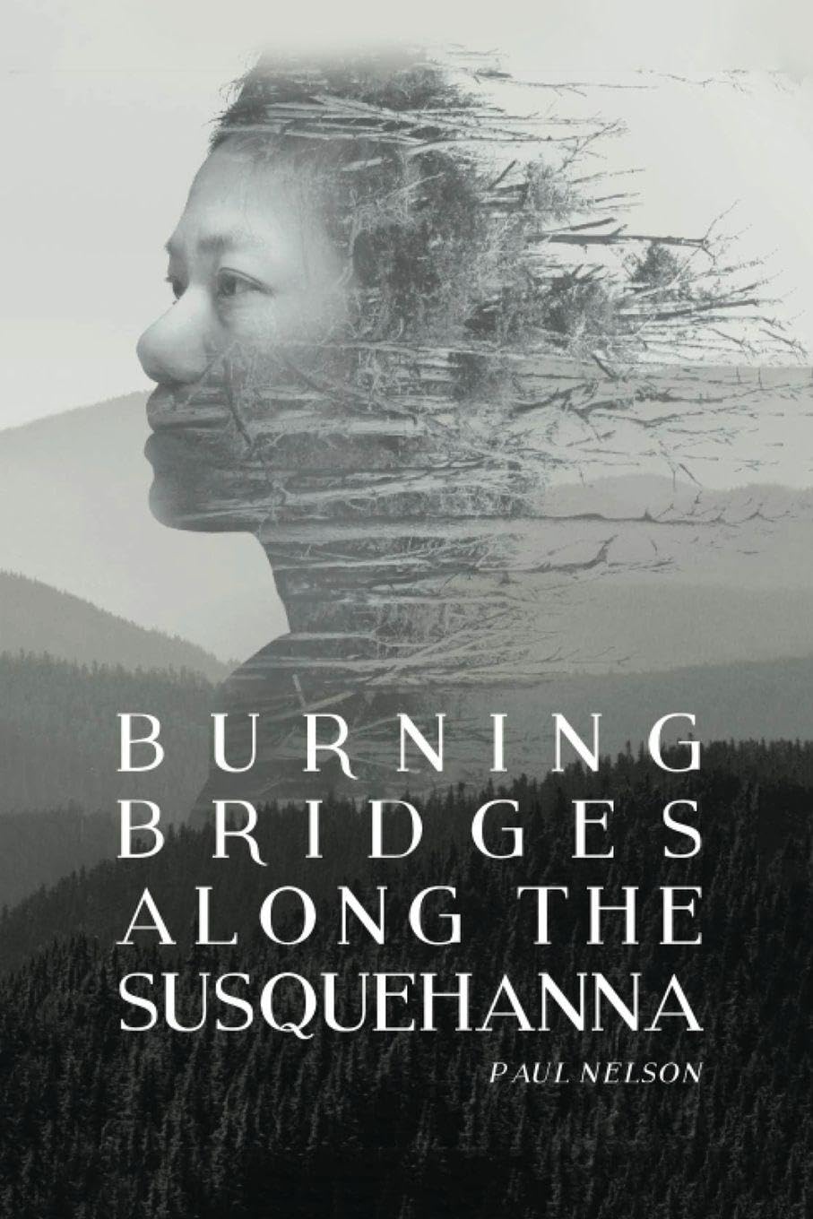 Burning Bridges Along the Susquehanna. Contemporary literature