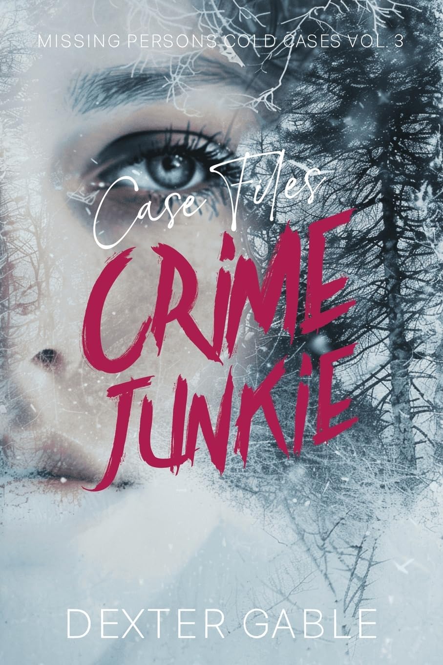 Crime Junkie Case Files: Missing Persons Cold Cases Vol. 3, True Crime Investigations of People Who Mysteriously Disappeared Politics & Society