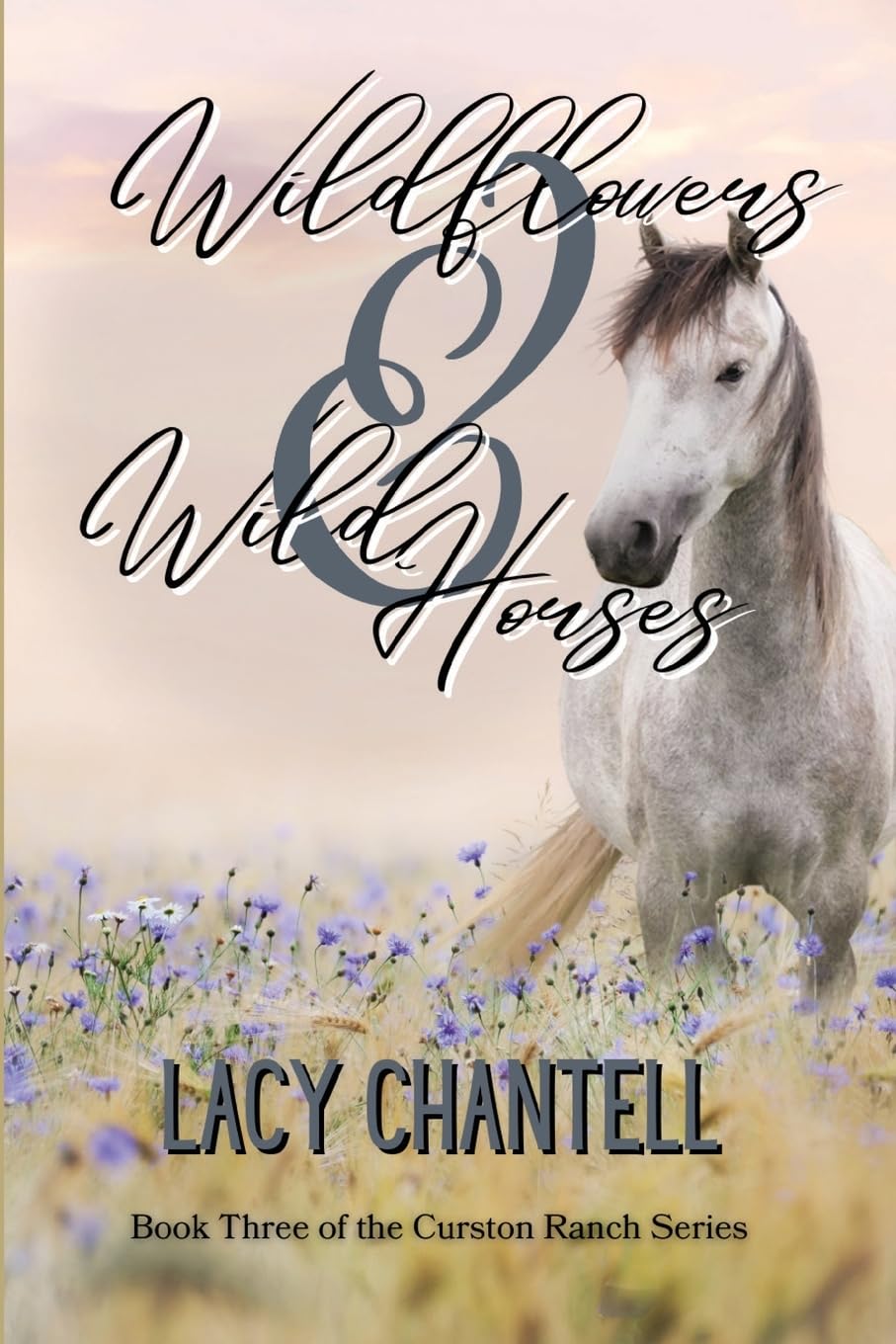 Wildflowers & Wild Horses Action & Adventure