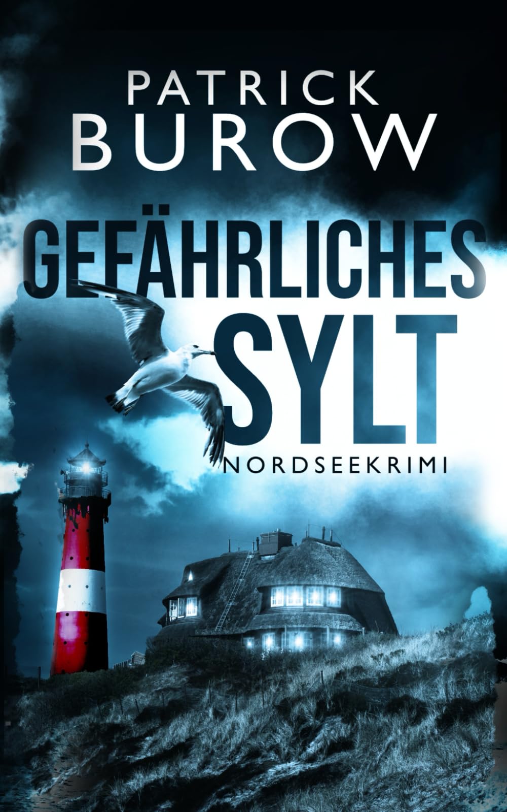 Gefährliches Sylt: Nordseekrimi (Hansen & Norden ermitteln, Band 3) Detective & CSI