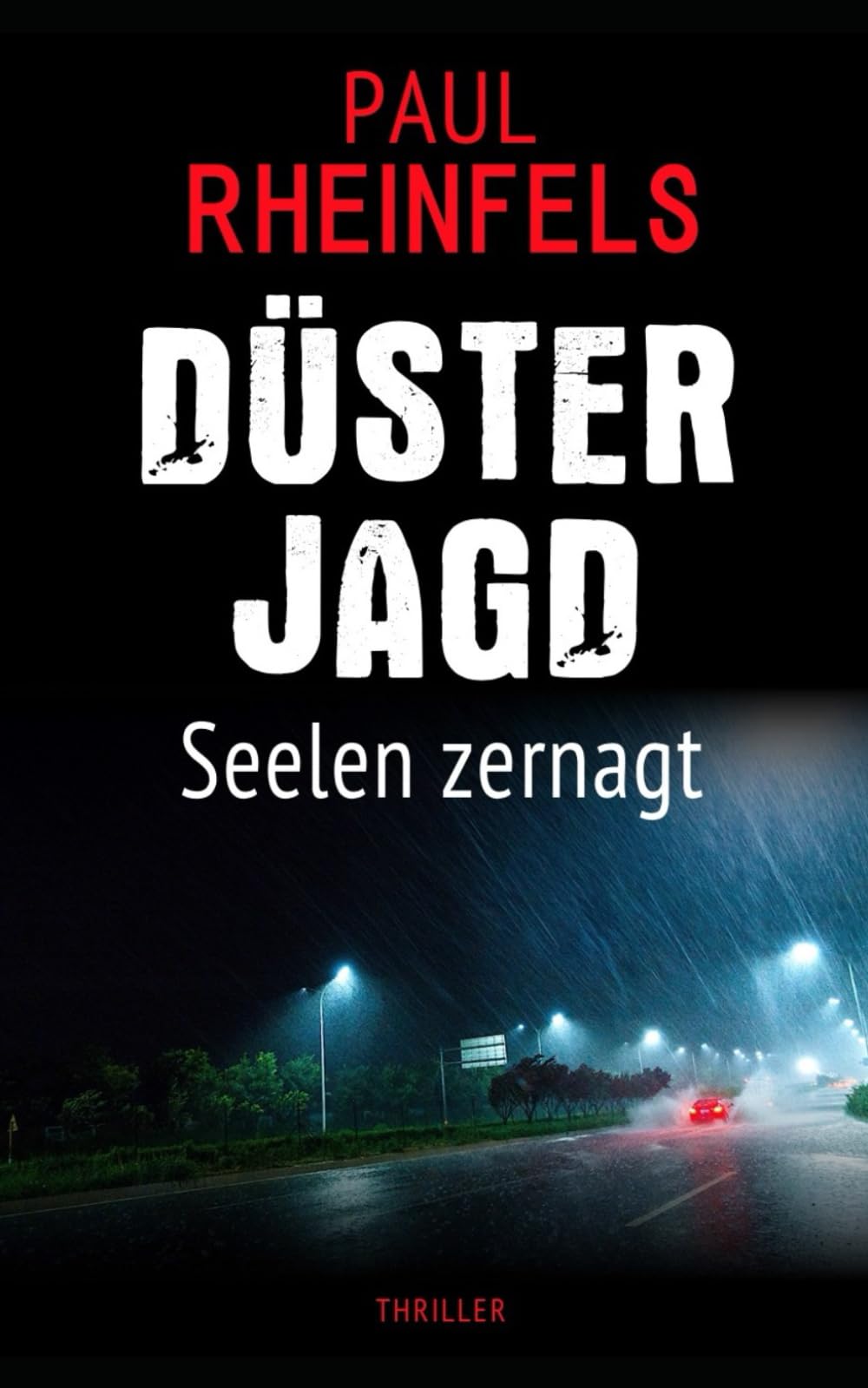 DÜSTERJAGD Seelen zernagt (SOKO Serienkiller, Band 54) Detective & CSI