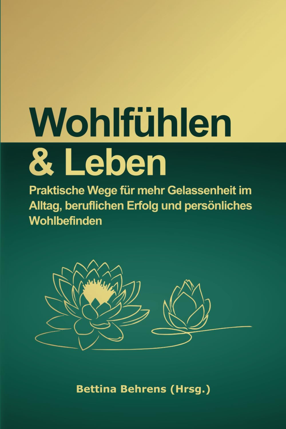 Wohlfühlen & Leben: Praktische Wege für mehr Gelassenheit im Alltag, beruflichen Erfolg und persönliches Wohlbefinden Business, Finance & Career