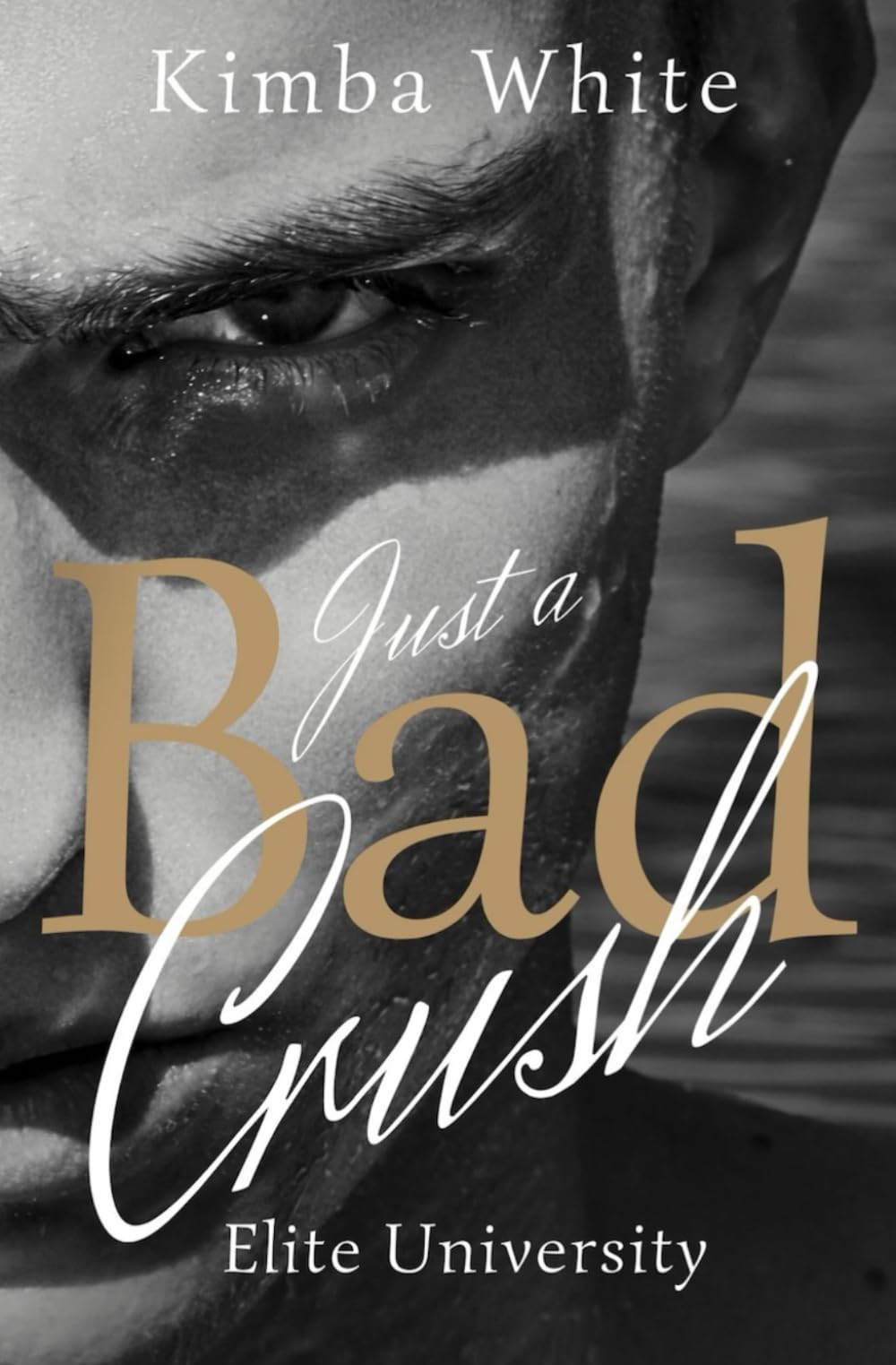 Just a bad crush: Elite University ( Bad Boy Romance) Fantasy & Sci-Fi