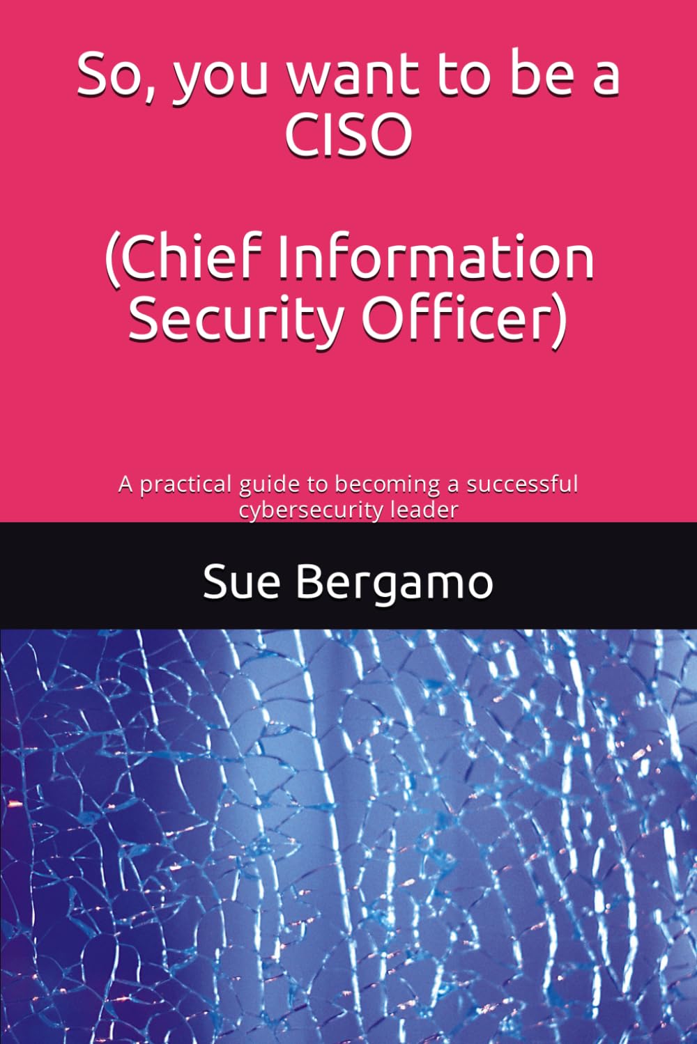 So, you want to be a CISO (Chief Information Security Officer): A practical guide to becoming a successful cybersecurity leader book